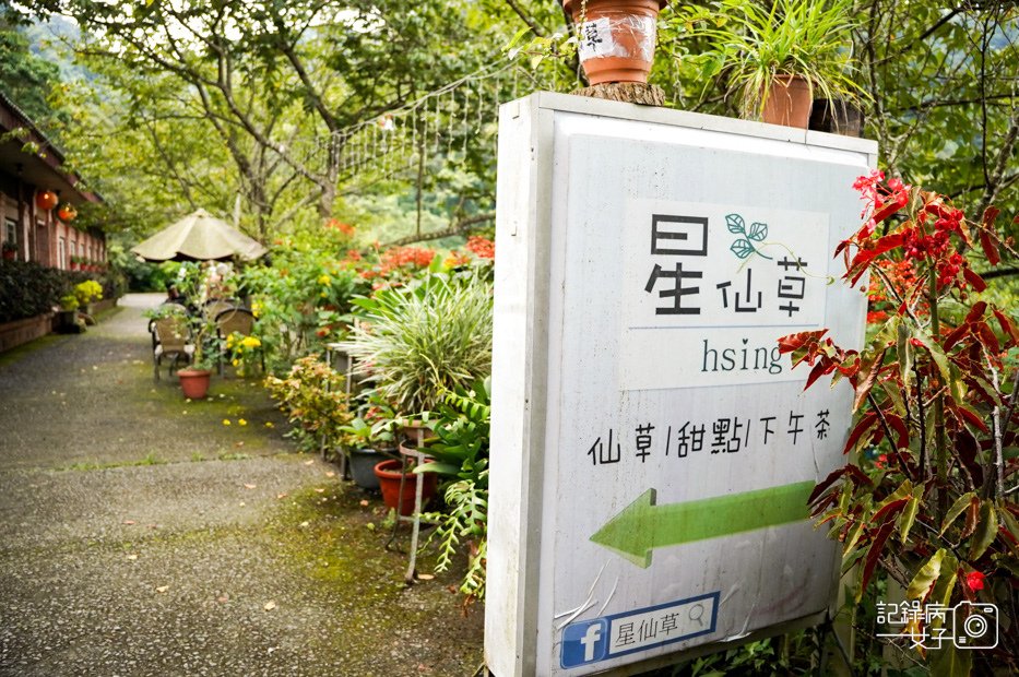 1苗栗獅潭仙山秘境星仙草芋圓仙草雪花冰桂花冰火湯圓.jpg