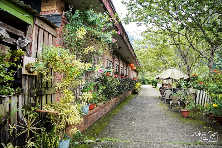 3苗栗獅潭仙山秘境星仙草芋圓仙草雪花冰桂花冰火湯圓.jpg