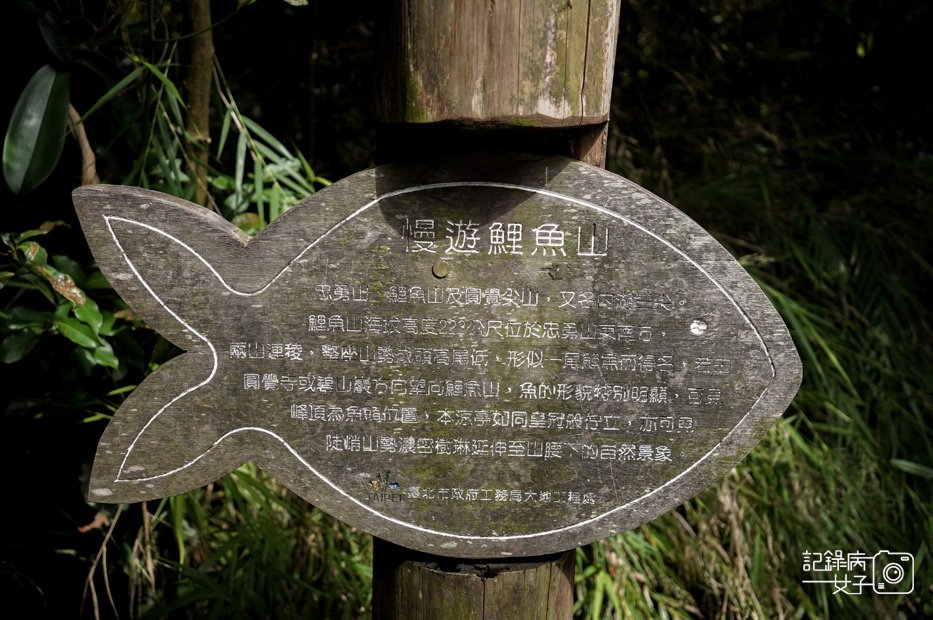 8台北內湖碧山巖鯉魚山小人國步道圓覺寺瀑布步道大溝溪親水公園.jpg