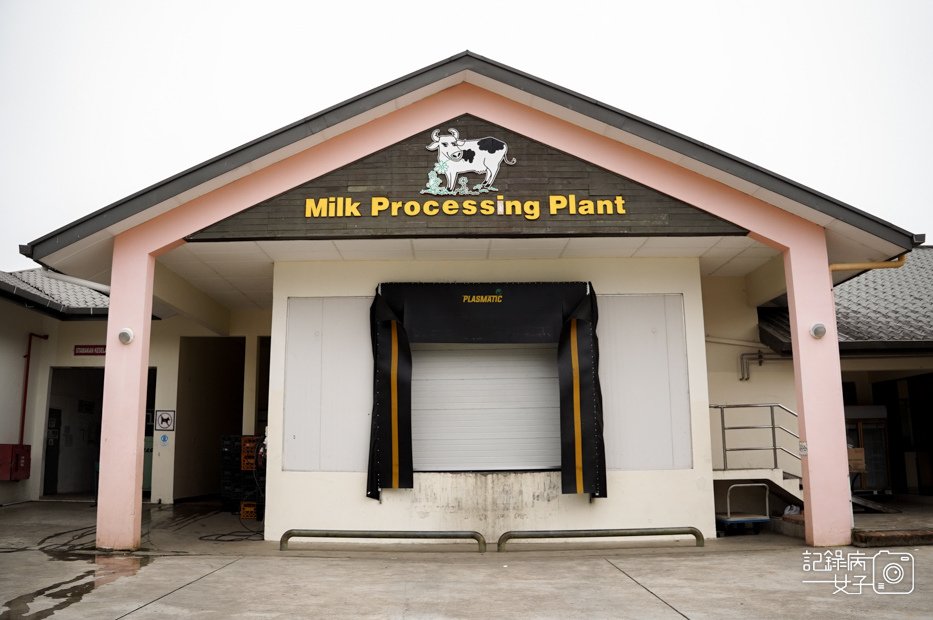 5馬來西亞沙巴Ladang Tenusu Desa Cattle昆達山Desa農場Yogurt ice cream.jpg