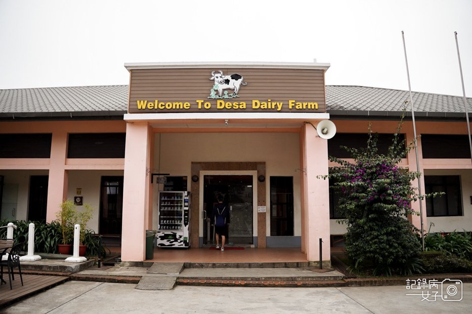 6馬來西亞沙巴Ladang Tenusu Desa Cattle昆達山Desa農場Yogurt ice cream.jpg