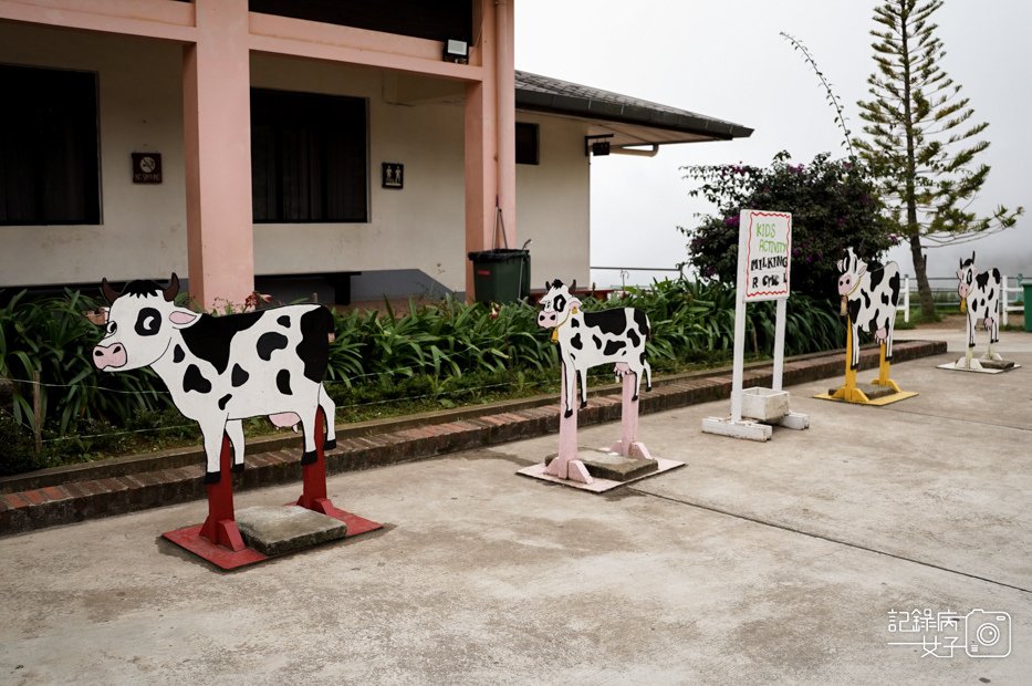 7馬來西亞沙巴Ladang Tenusu Desa Cattle昆達山Desa農場Yogurt ice cream.jpg