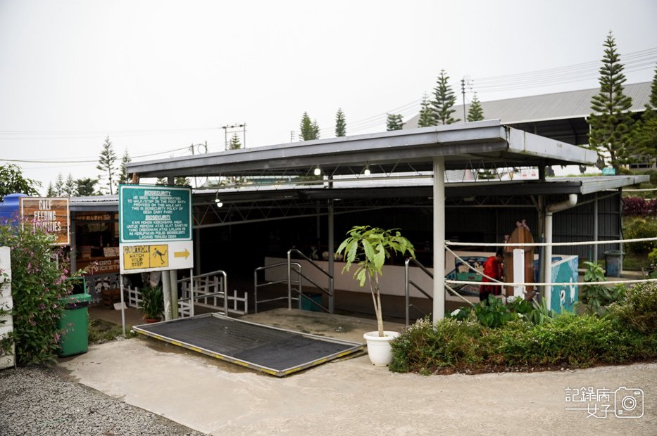 17馬來西亞沙巴Ladang Tenusu Desa Cattle昆達山Desa農場Yogurt ice cream.jpg