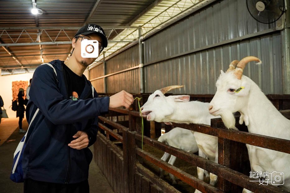 22馬來西亞沙巴Ladang Tenusu Desa Cattle昆達山Desa農場Yogurt ice cream.jpg