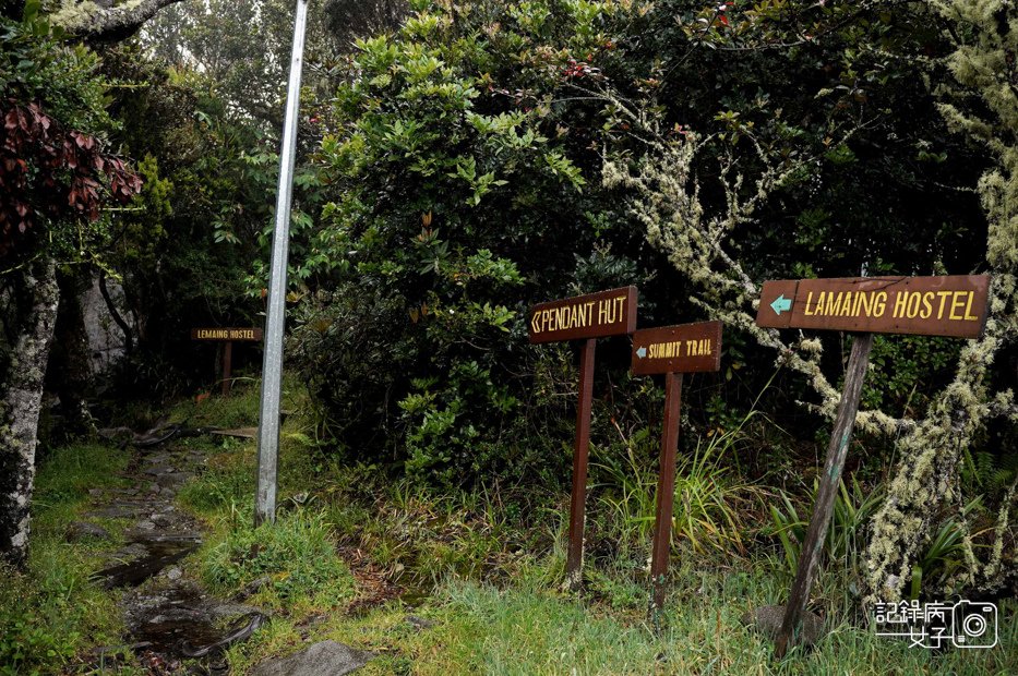 6 Mount KinabaluMalaysia%5Cs Highest PostBox沙巴神山京那巴魯山馬來西亞最高海拔郵局明信片.jpg