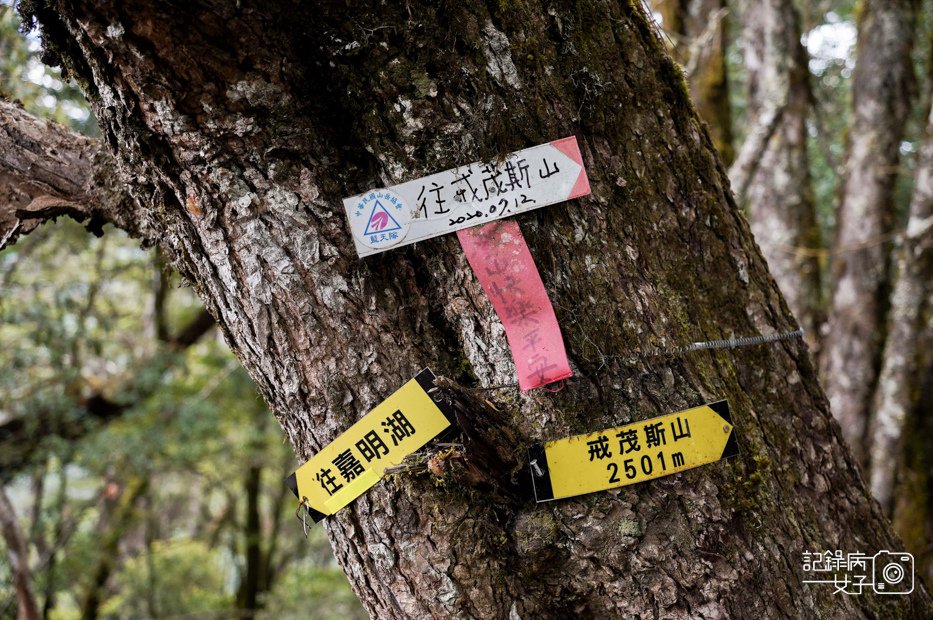4戒茂斯上嘉明湖三天兩夜天使的眼淚三叉山向陽山百岳.jpg
