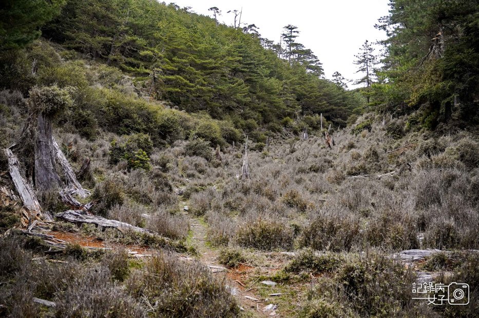 25戒茂斯上嘉明湖三天兩夜天使的眼淚三叉山向陽山百岳.jpg