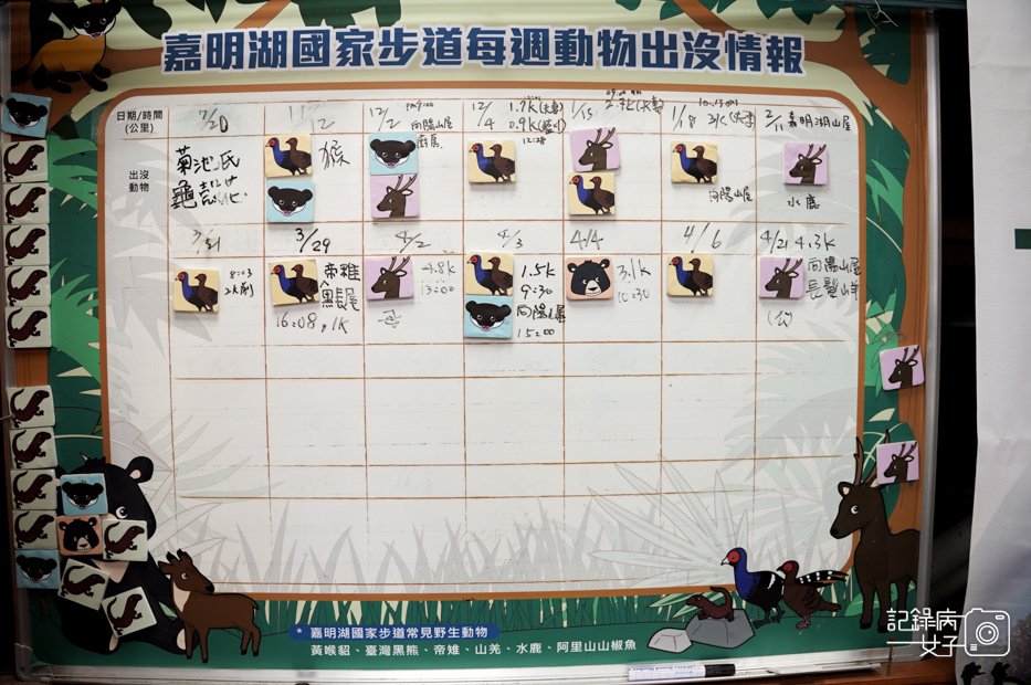 73戒茂斯上嘉明湖三天兩夜天使的眼淚三叉山向陽山百岳.jpg
