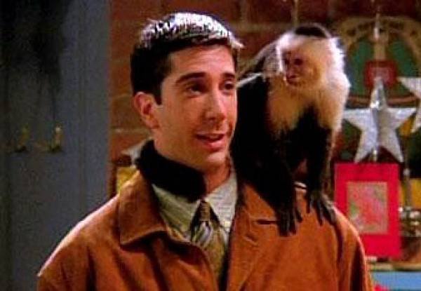 Ross-geller-et-son-singe-marcel.jpg