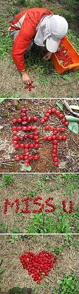 Cherry排字.jpg
