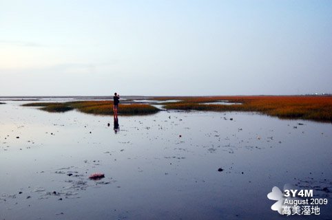 小米爸拔與高美溼地