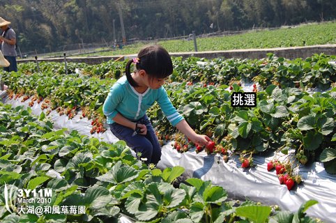 仔細挑選