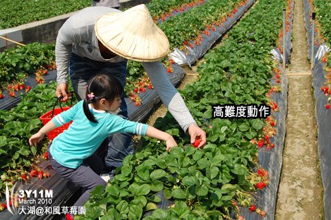 這姿勢會不會太高難度？