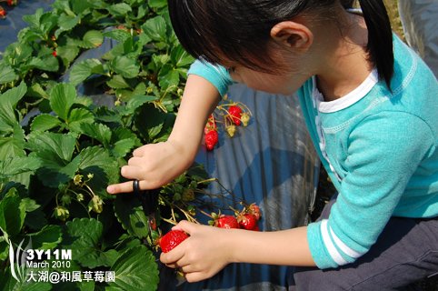 小思毅拿剪刀很順手