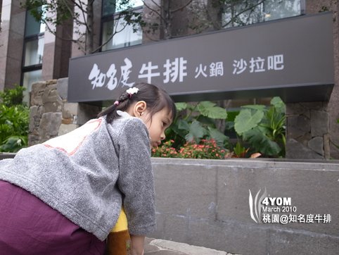 2010/03/20，知名度牛排