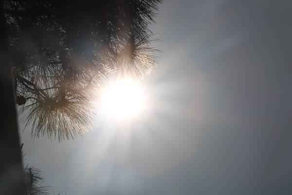 Lovepik_com-500413024-hold-the-sun.jpg