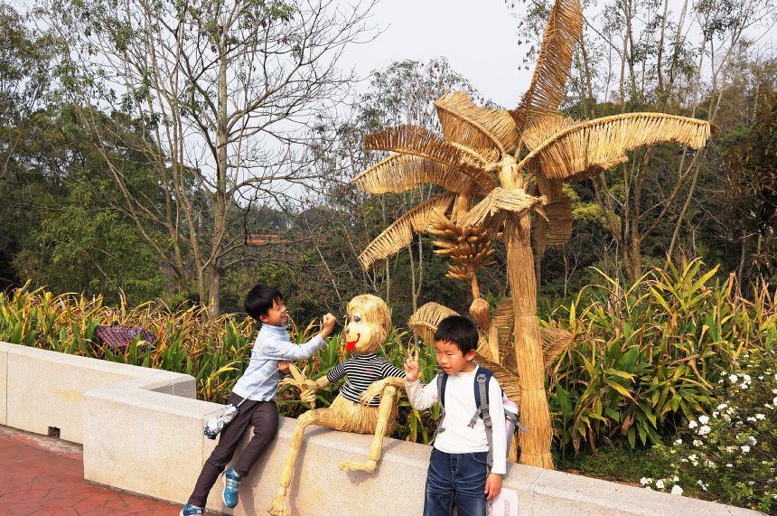 DSC01248_Tibay