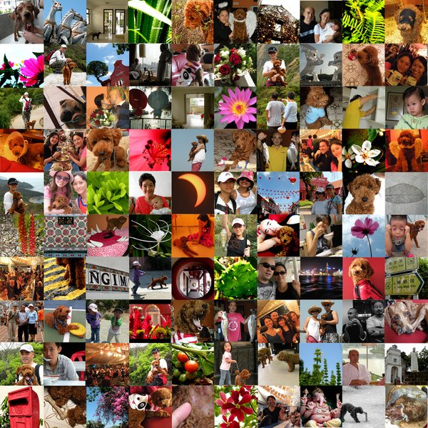 2009 annual photo montage