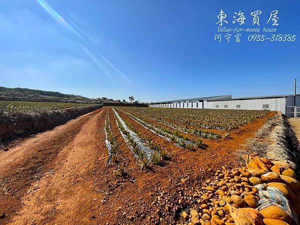 東海買屋~沙鹿區-中科中清路旁漂亮方正農地1093坪3938