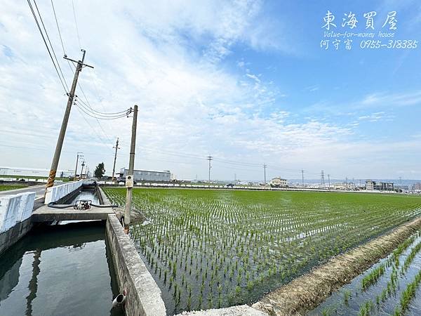 東海買屋~龍井區-中華路旁方正漂亮農地722坪3978萬