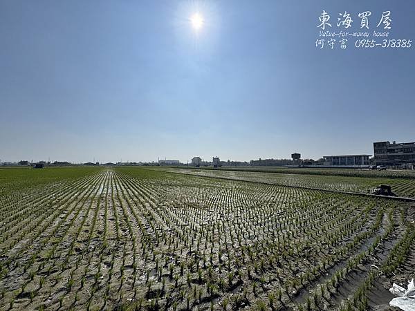 雲林元長-元長鄉349坪肥沃好地，每坪僅0.8萬，總價280