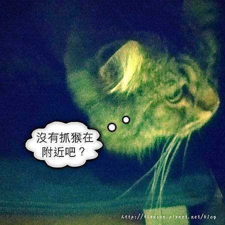 照片.JPG