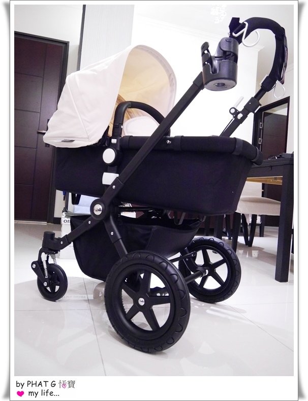 bugaboo 45.JPG