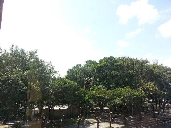 窗外就是綠意盎然的228公園