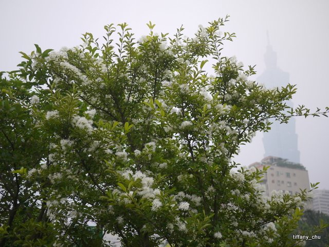 P1020223.JPG