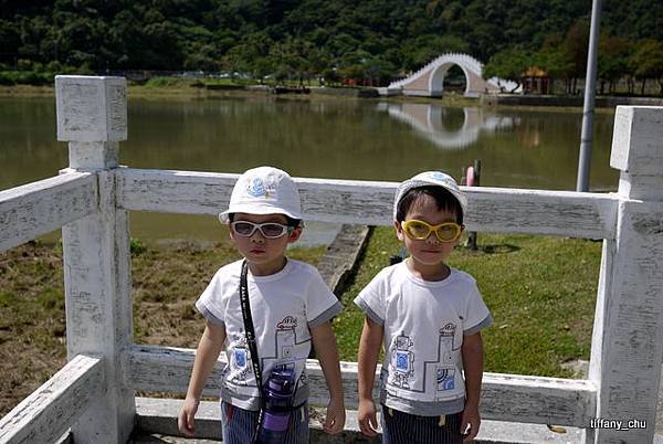 P1050597.JPG