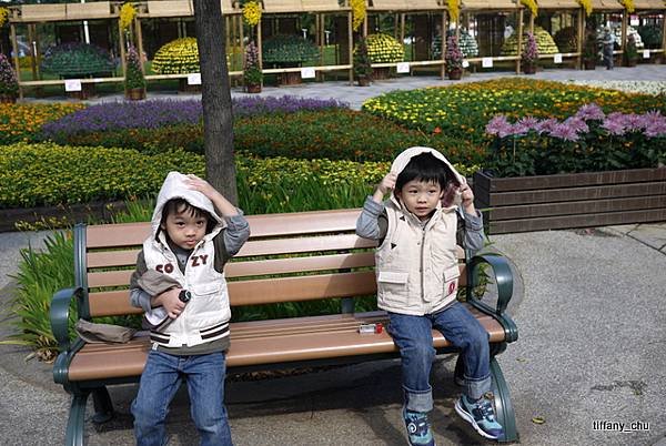 P1060698.JPG