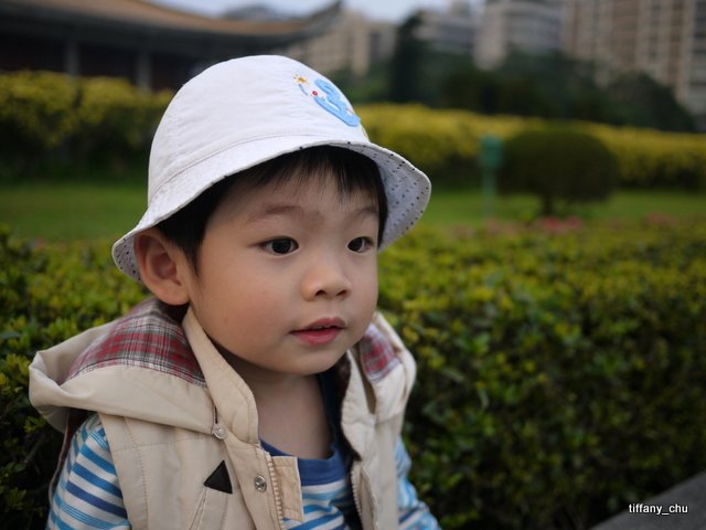 P1020328.JPG