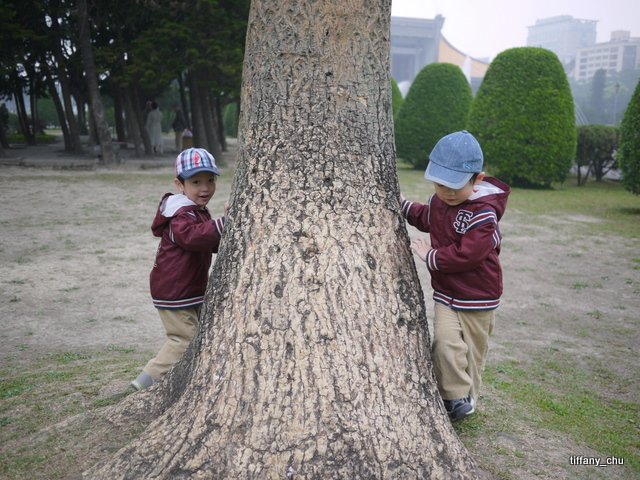 P1020225.JPG