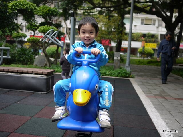 P1020354.JPG