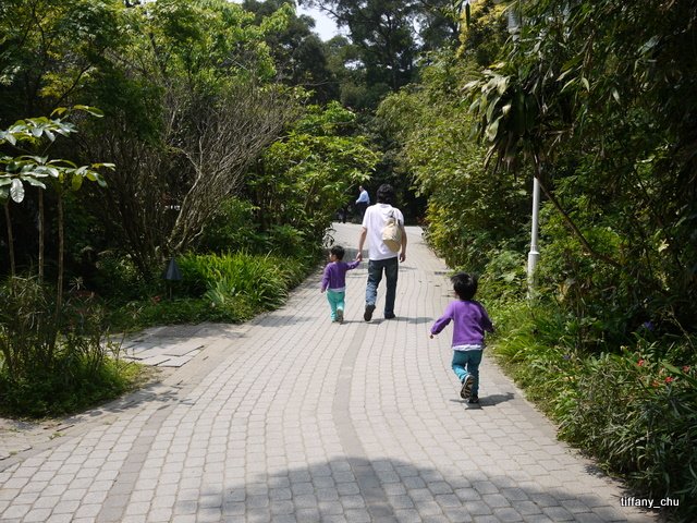 P1020202.JPG