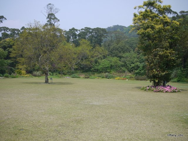 P1020219.JPG