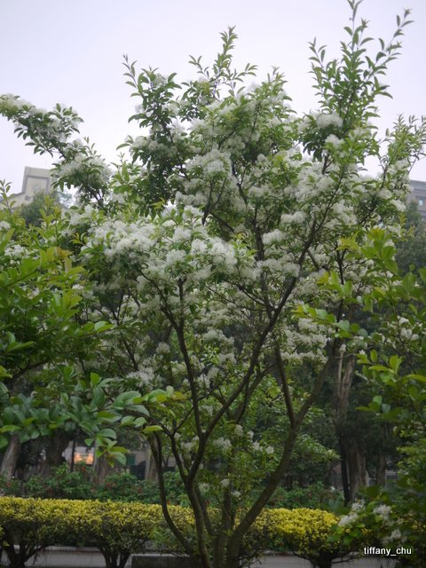 P1020220.JPG