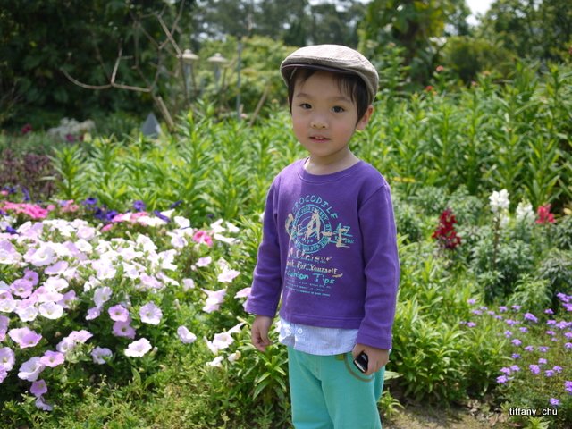 P1020165.JPG