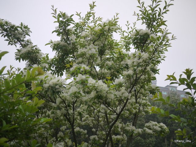 P1020222.JPG