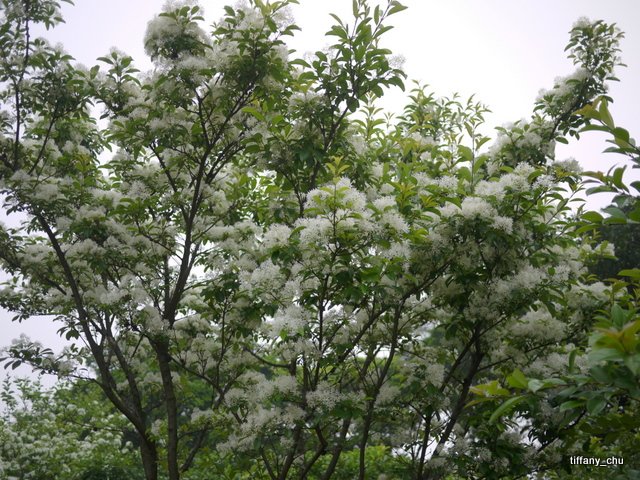 P1020221.JPG