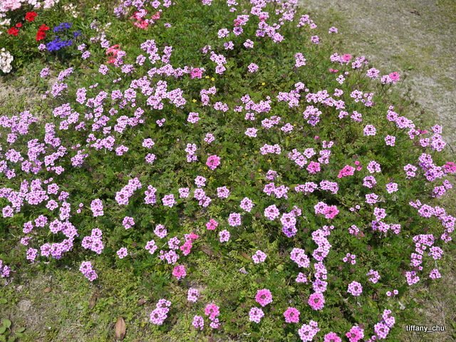 P1020190.JPG