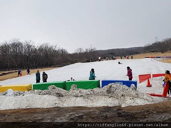 nEO_IMG_1080226 箱根海盜船滑雪盆_190305_0100.jpg