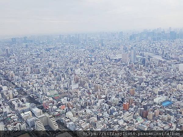 nEO_IMG_1080227 晴空塔淺草秋葉原_190305_0044.jpg