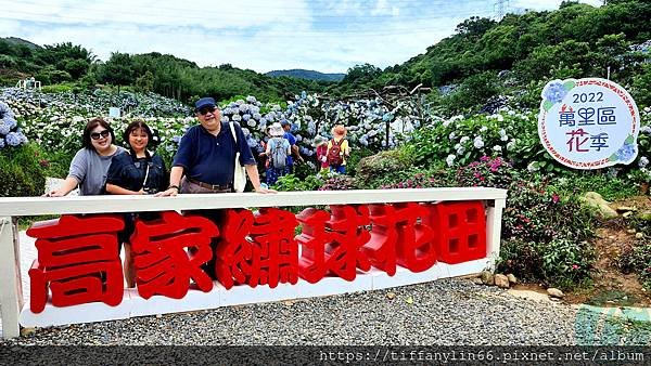 繡球花 20220613_102950.jpg