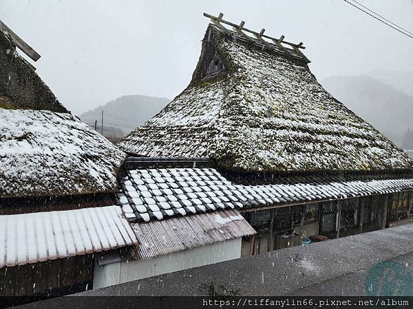 日本京都大阪20240227_101514.jpg