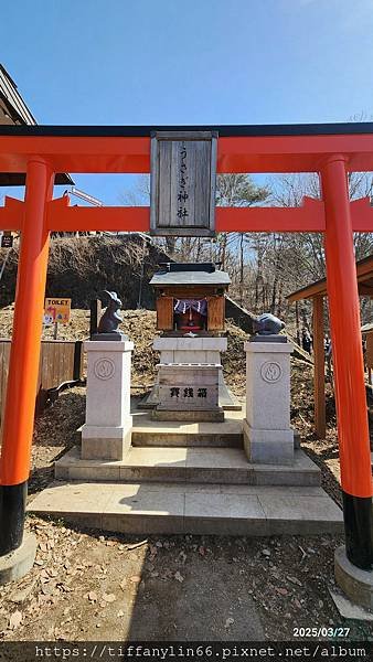 富士山瞭望纜車20250327_095957.jpg