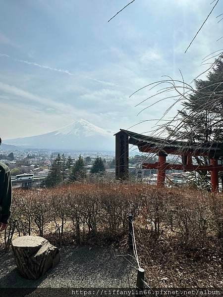 【日本關東】富士山瞭望纜車《河口湖天上山公園》狸貓茶屋&amp;新倉