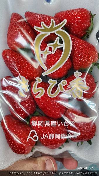 新倉富士淺間神社20250327_151352.jpg