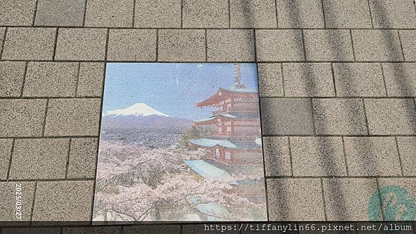 新倉富士淺間神社20250327_134403.jpg