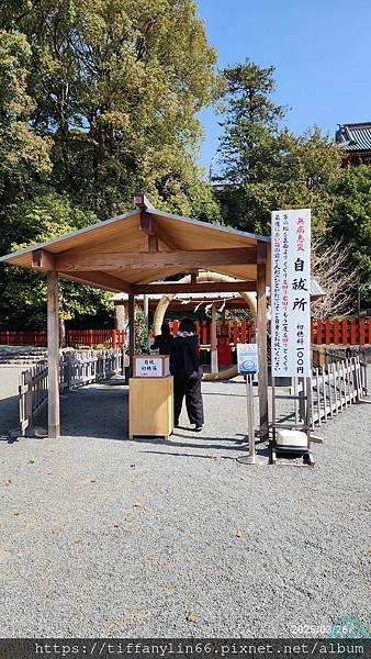 鐮倉八幡宮20250326_093955.jpg
